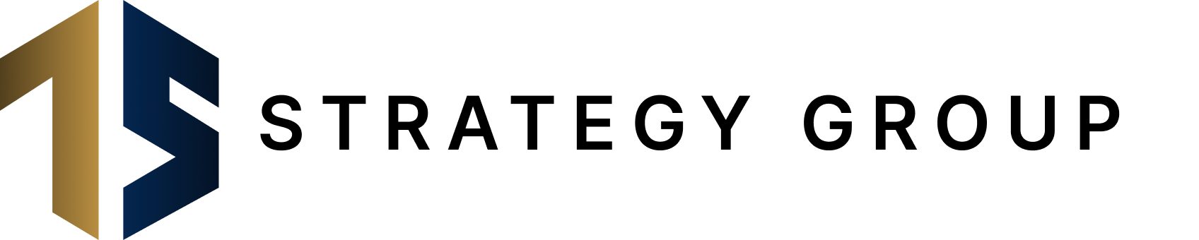 TS 전략그룹
